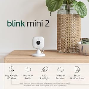 Blink Mini 2