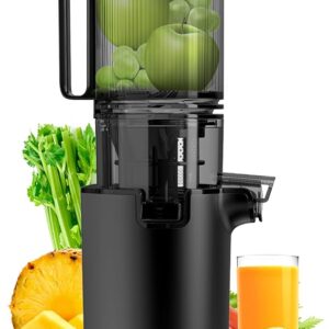 Masticating Juicer