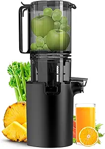 Juicer